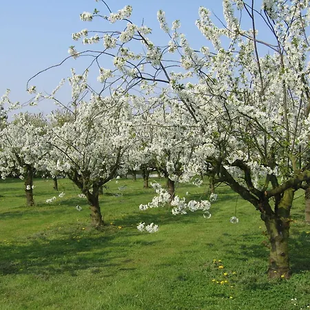 Lederstrumpf Im Feriend Hollern-Twielenfleth