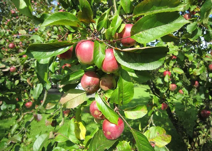 Prázdninový dům Lederstrumpf Im Feriend Hollern-Twielenfleth