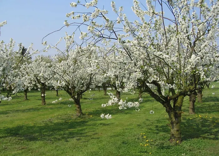 Prázdninový dům Lederstrumpf Im Feriend *